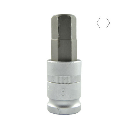 1/2 Pouce HEX Pointe H16 55MML 10032