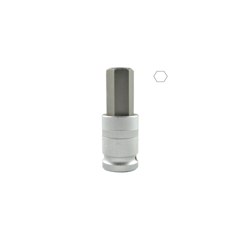 1/2 Pouce HEX Pointe H17 55MML 10033