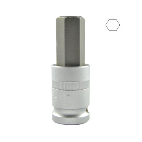 1/2 Pouce HEX Pointe H17 55MML 10033
