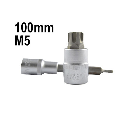 1/2 Pouce 12 Pans Pointe M5 100MM 13503
