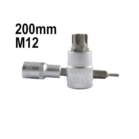 1/2 Pouce 12 Pans Pointe M12 200MM 13519
