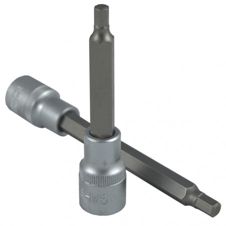 1/2 Pouce HEX Pointe H5 100MML 13549