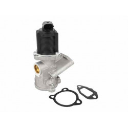 Vanne EGR Fiat 500 Idea, Ford Ka, Lancia Musa EGRFT001 NTY VH