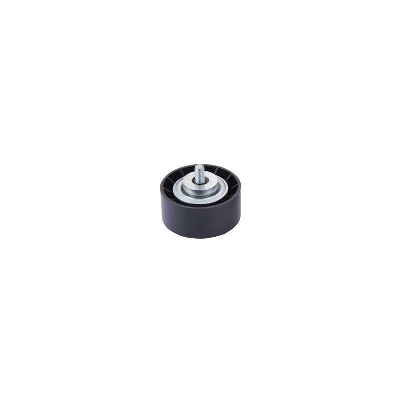 Galet enrouleur de courroie d'accessoire Citroen Berlingo Jumpy Xsara, Fiat Scudo, Peugeot 206 306 Expert Partner RX33031 Fir...