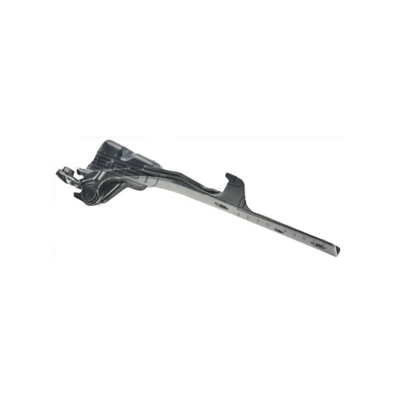 Charniere de Coffre Droite - Suzuki Grand Vitara II 2005- O0799JB420RHF