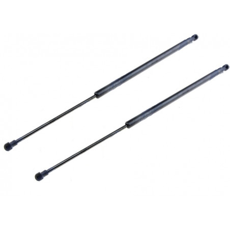 2x Verins de Coffre - PEUGEOT 206 SW 2002- AEPE005*2 2x Verins de Coffre - PEUGEOT 206 SW 2002- AEPE005*2