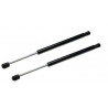 2x Verins de coffre - Jeep liberty 2008- AECH014*2
