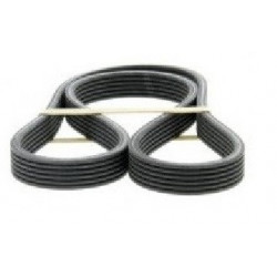 Courroie accessoire a nervure 5PK1810 5PK1810