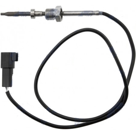 Palpeur, temperature des gaz - Ford Transit MK8 2.2TDCI 2013- EGTFR014