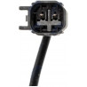 Palpeur, temperature des gaz - Ford Transit MK8 2.2TDCI 2013- EGTFR014