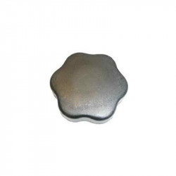 Bouchon de remplissage d'huile Ford Fiesta T5