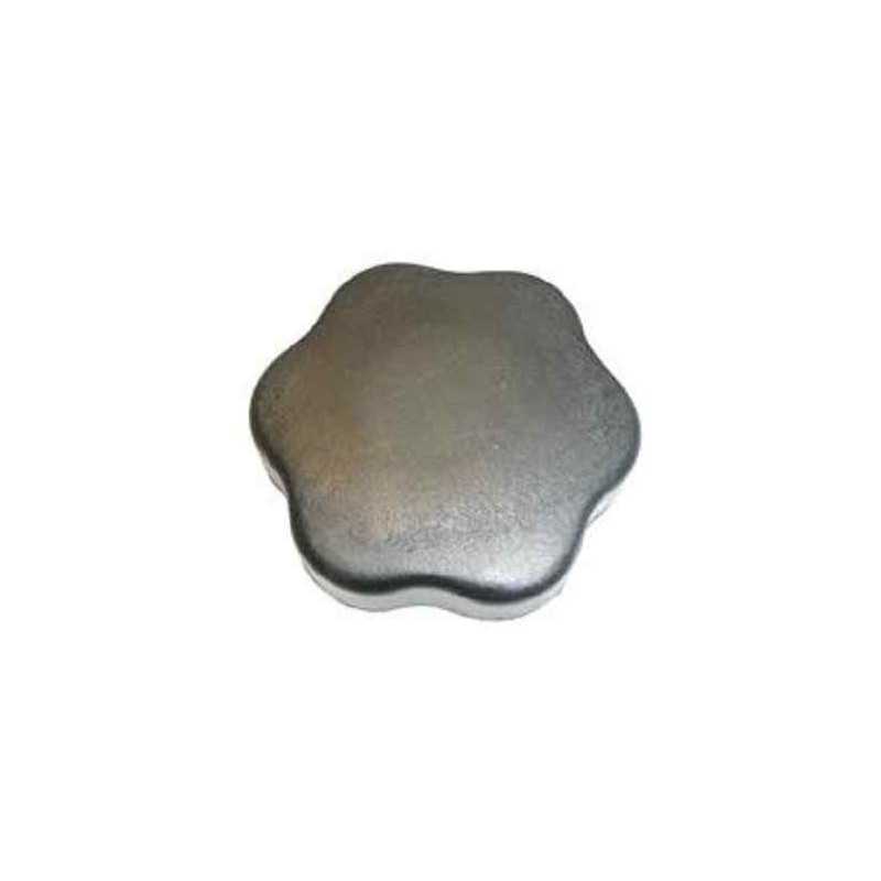 Bouchon de remplissage d'huile Ford Fiesta T5