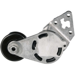 Galet tendeur de courroie d'accessoire Audi A2, Seat : Cordoba, Ibiza, Skoda : Fabia, Roosmter, Volkswagen : Fox, Lupo, Polo
