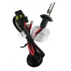 2x Ampoules Xenon H7 - 35w 4300k / Jaune Amp.xenon H7 35w  4300k
