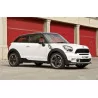  MINI PACEMAN 