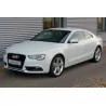  Audi A5 Collecteur Echappement - Audi A3 A4 A5 A6 Q5 Seat Altea Leon Skoda Octavia VW Golf Jetta Passat Tiguan 2.0 Tdi Collecte